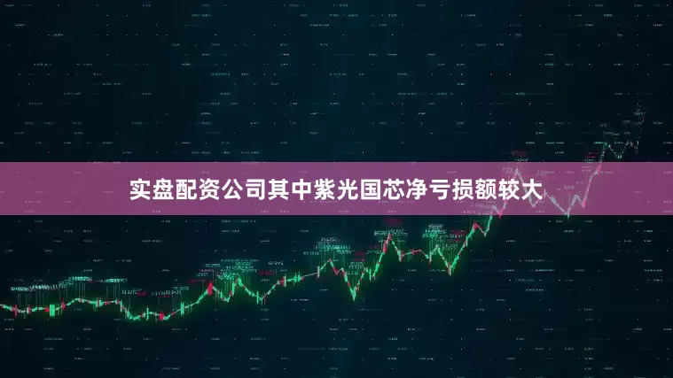 实盘配资公司其中紫光国芯净亏损额较大